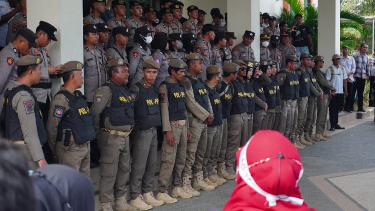 WhatsApp Image 2025-02-03 at 16.50.13